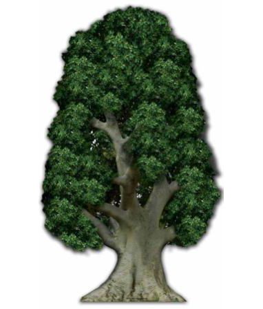 Tree Cardboard Cutout - 1.78m