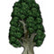 Tree Cardboard Cutout - 1.78m