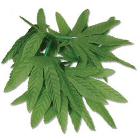 Tropical Fern Leaf Wristlet/Anklet - 25.4cm