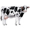 Cow Jointed Cutout Wall Decoration - 88cm