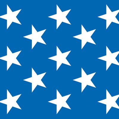 American Stars Backdrop - 9.14m