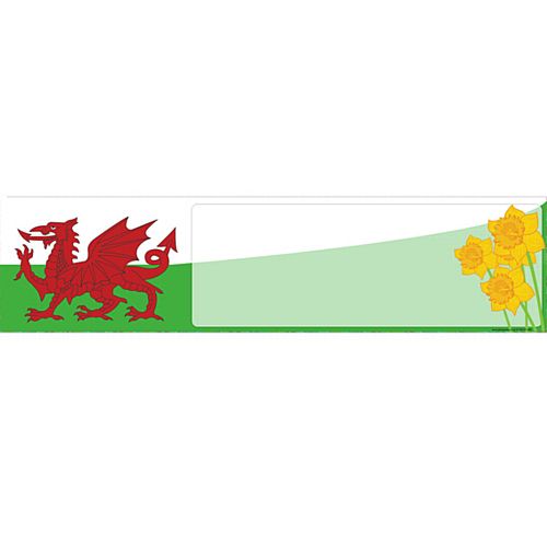 Welsh Themed Banner - 120 x 20cm