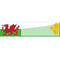 Welsh Themed Banner - 120 x 20cm