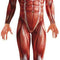 Anatomy Man Costume