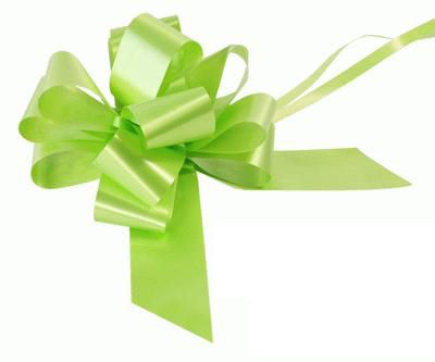 Lime Green 12 Loop Pull Bow - 16.5cm - Each