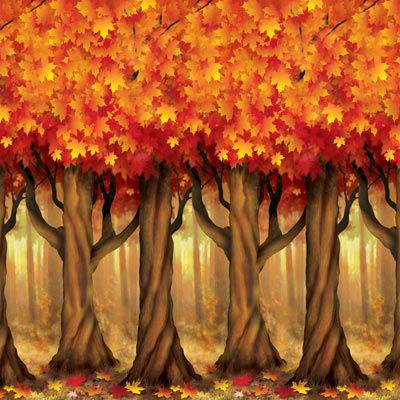 Autumn Trees Backdrop - 9.14m