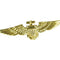 Aviator Military Pin