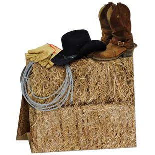 3-D Western Centrepiece - 27.9cm