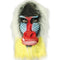 Baboon/Mandrill Overhead Rubber Mask