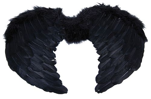 Mini Black Feather Wings