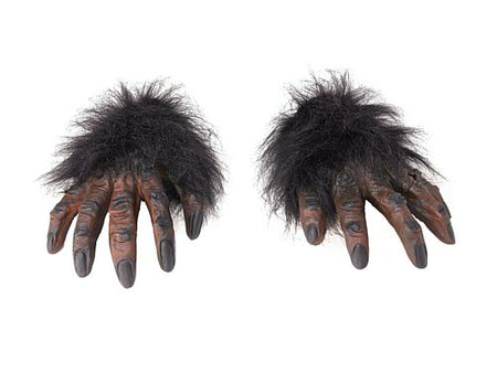 Brown Hairy Hands