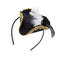 Mini Pirate Hat on Headband