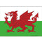 Welsh Themed Flag Poster - A3