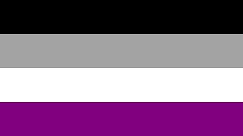 Asexual Pride Polyester Fabric Flag 5ft x 3ft