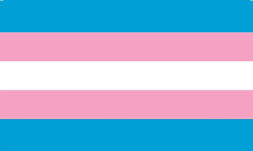 Transgender Pride Polyester Fabric Flag 5ft x 3ft