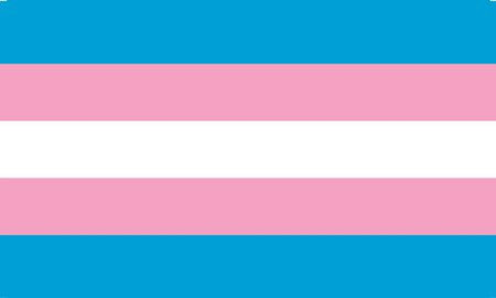 Transgender Pride Polyester Fabric Flag 5ft x 3ft