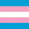 Transgender Pride Polyester Fabric Flag 5ft x 3ft