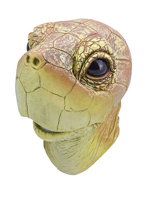 Turtle Mask