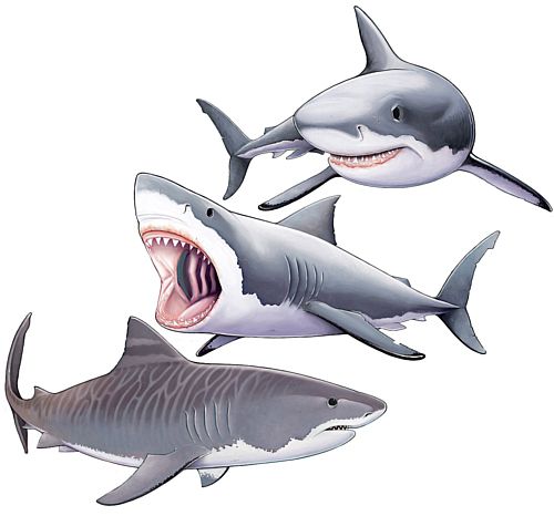 Shark Cutouts - Pack of 3 - 61.6cm