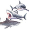 Shark Cutouts - Pack of 3 - 61.6cm