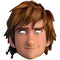 Hiccup How to Train Your Dragon 2 Card Mask