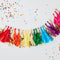 Rainbow Tassel Garland - 1.5m