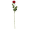 Red Rose - 40cm - Each