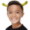 Official Shrek Ears On Headband
