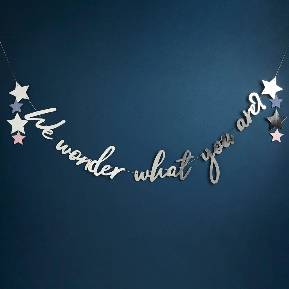 We Wonder What You Are? Banner - 2m